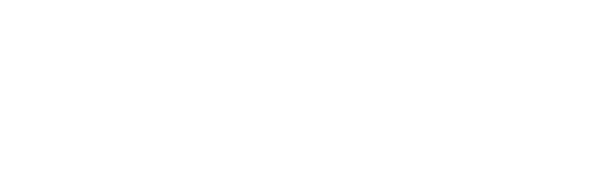 logo orizzontale bianco Everest Innovation